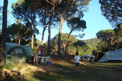 begur-begur-mdndj