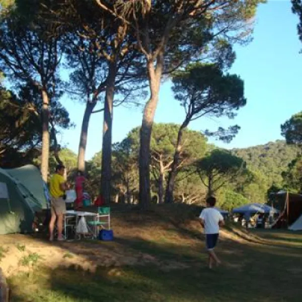 begur-begur-mdndj