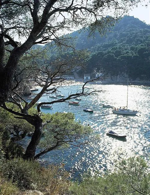 begur-begur-zo9gs