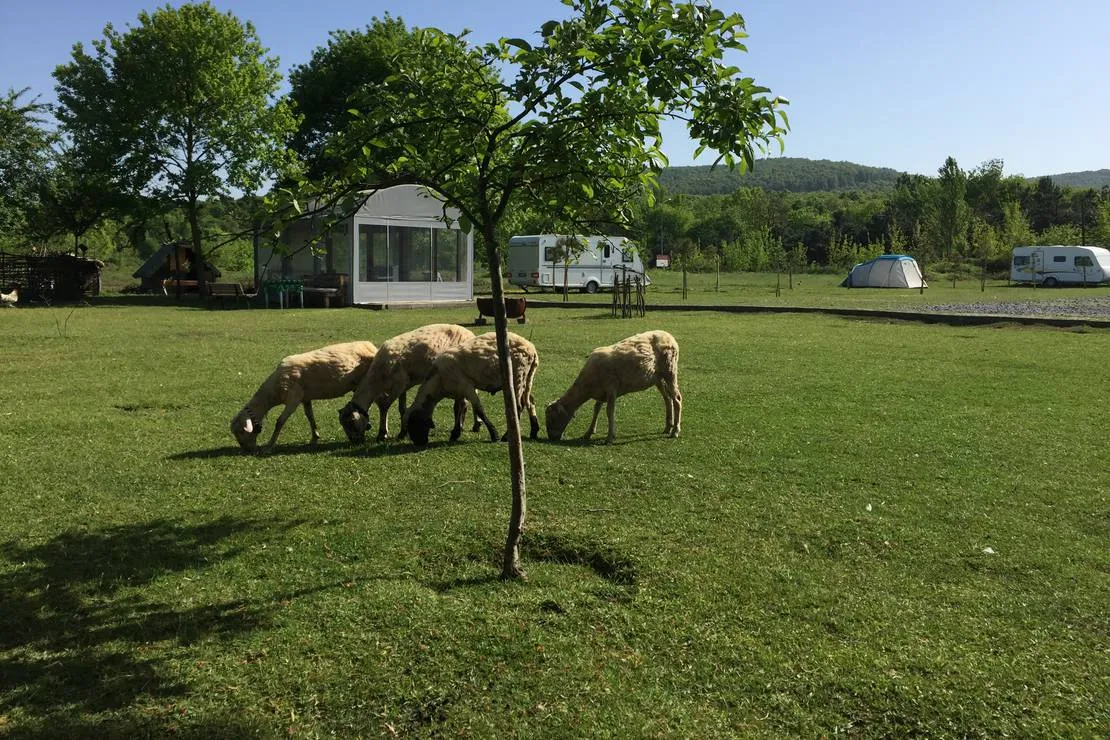 istanbul-camper-village-istanbul-karavan-koyu-cekmekoy-istanbul-bvlga