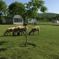 İstanbul Camper Village / İstanbul Karavan Köyü