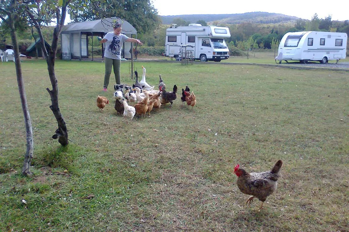 istanbul-camper-village-istanbul-karavan-koyu-cekmekoy-istanbul-rpp1k