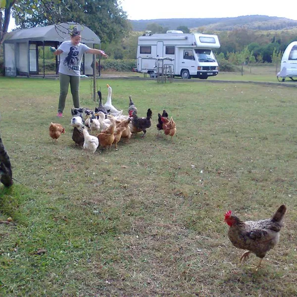 istanbul-camper-village-istanbul-karavan-koyu-cekmekoy-istanbul-rpp1k