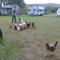istanbul-camper-village-istanbul-karavan-koyu-cekmekoy-istanbul-rpp1k