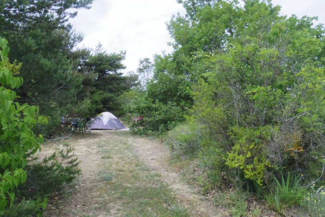 camping-a-la-ferme-les-pins-montchenu-r7shj