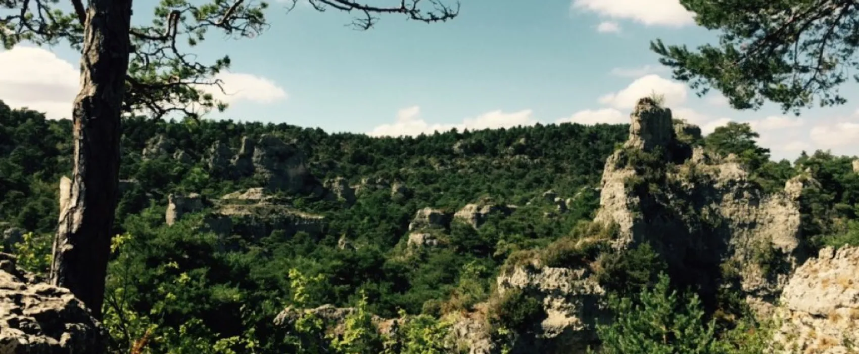 La Cazette