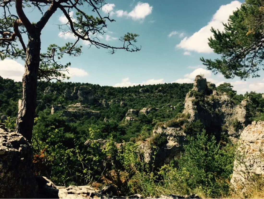 la-cazette-broquies-mogpb