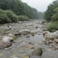 Du Pont de Mercier