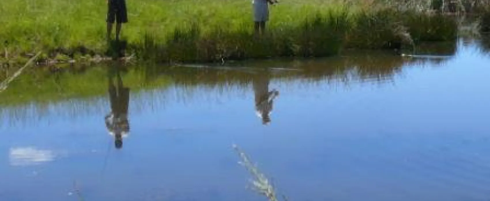 Ribbokkloof