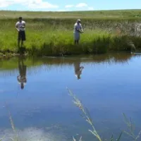 Ribbokkloof