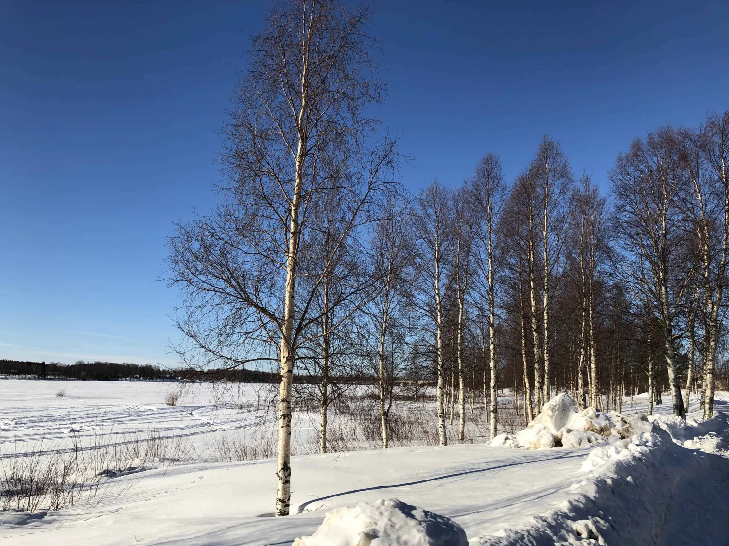 sangis-motell-och-camping-sangis-uwso3