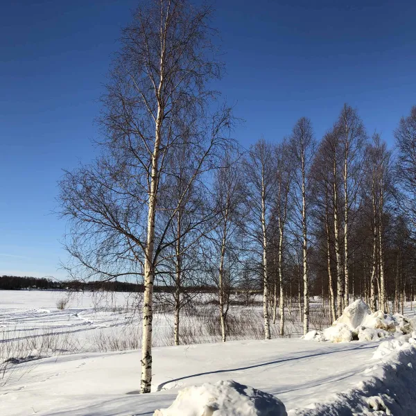 Sangis Motell och Camping