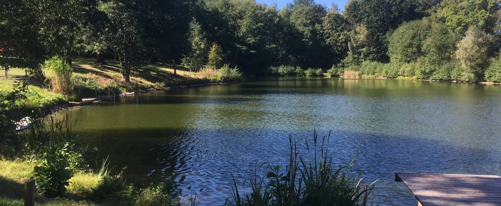 Naturbad Niederwiesa