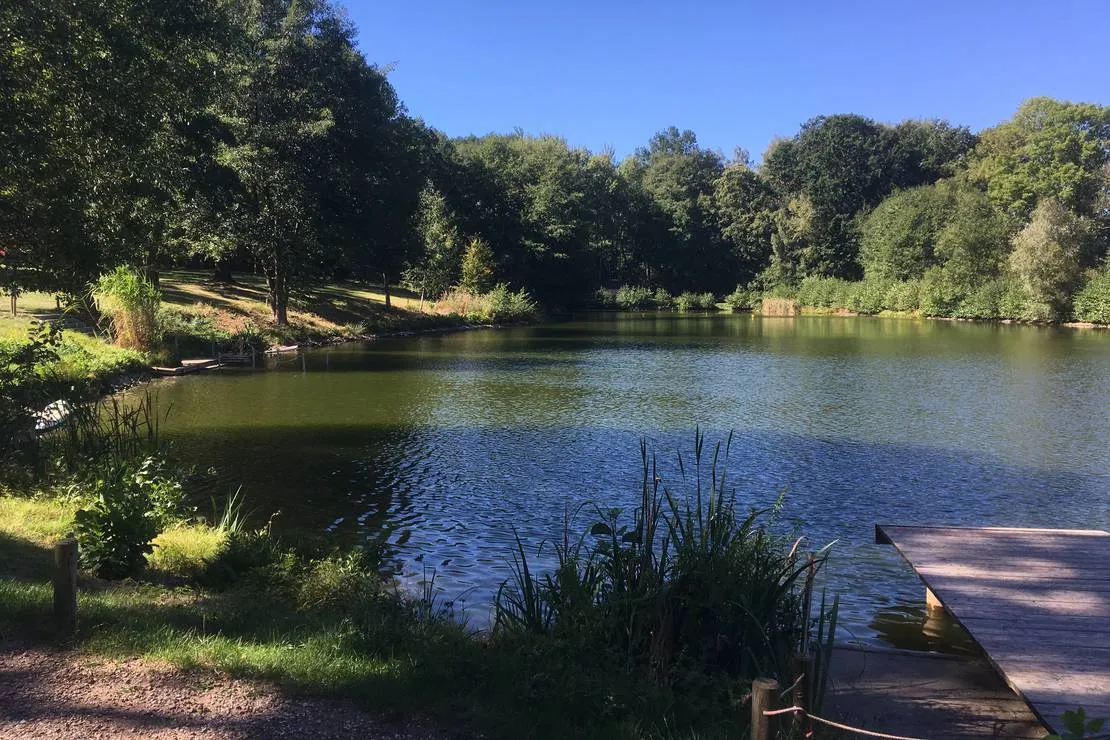 naturbad-niederwiesa-niederwiesa-qudal