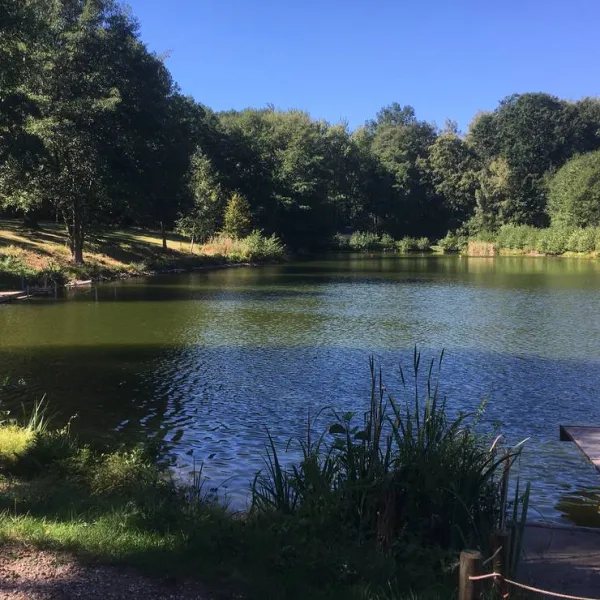 naturbad-niederwiesa-niederwiesa-qudal