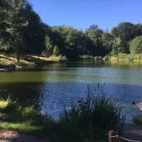 naturbad-niederwiesa-niederwiesa-qudal