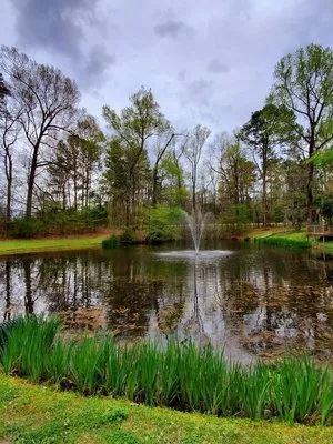 peaceful-pines-rv-park-st-francisville-qes5s