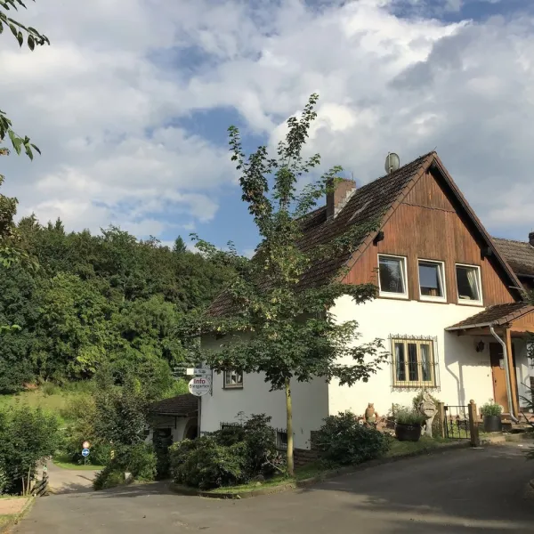 alte-muhle-alheim-licherode-xscj7