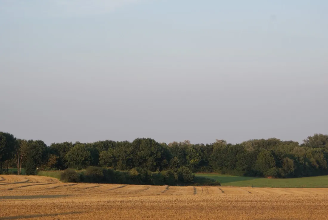 t-geet-good-landgraaf-0dcjj