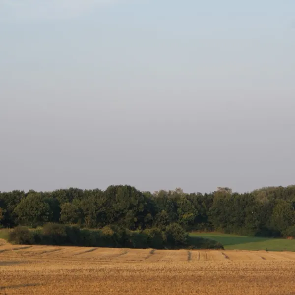 t-geet-good-landgraaf-0dcjj