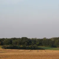 t-geet-good-landgraaf-0dcjj