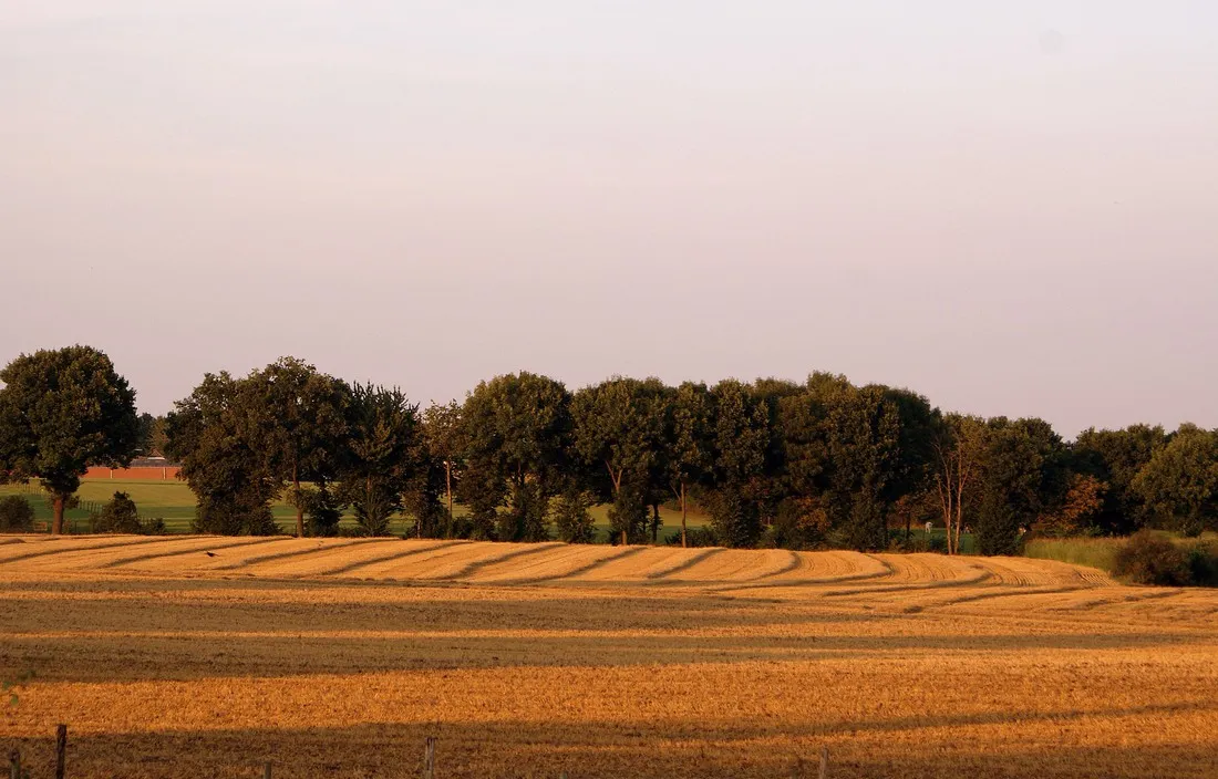 t-geet-good-landgraaf-5a151