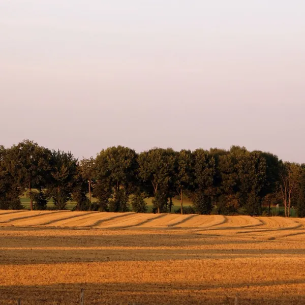 t-geet-good-landgraaf-5a151