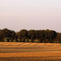t-geet-good-landgraaf-5a151