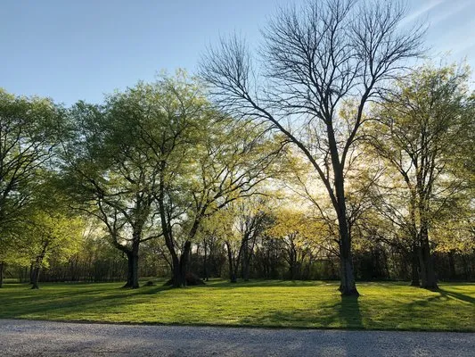 texas-t-campground-cornersville-nzhky