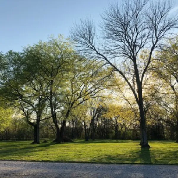 texas-t-campground-cornersville-nzhky