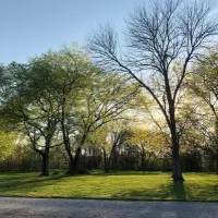 texas-t-campground-cornersville-nzhky