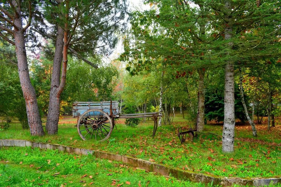 parque-de-campismo-rural-vale-do-beijames-vale-de-amoreira-sbih1