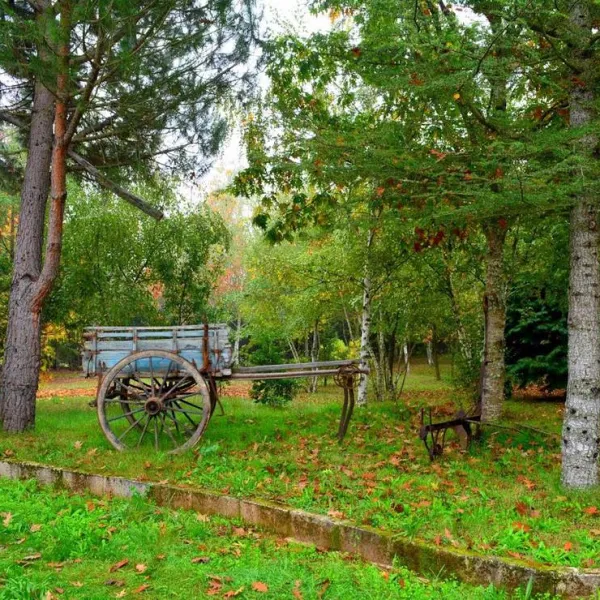 parque-de-campismo-rural-vale-do-beijames-vale-de-amoreira-sbih1