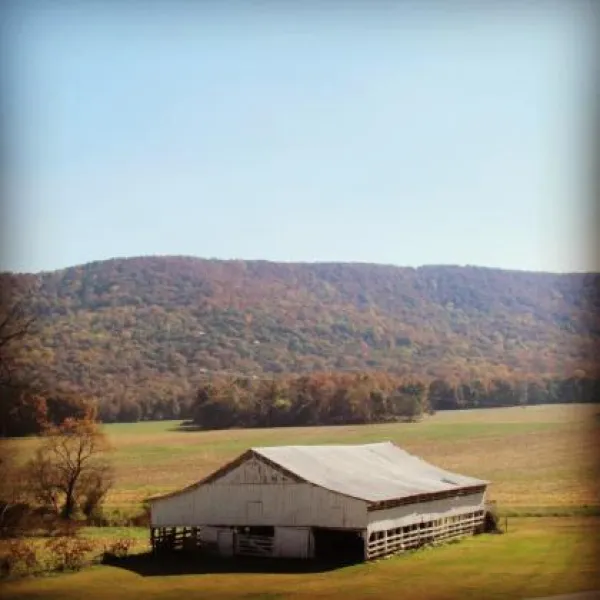 mountain-cove-farms-resort-chickamauga-ifafe