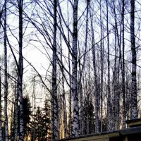 camping-chill-up-vecpiebalgas-novads-6flqg