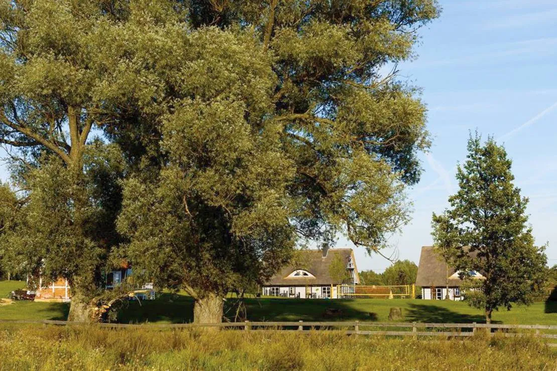 szelagowka-camping-glamping-sorkwity-2pjrd