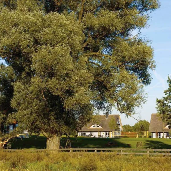 szelagowka-camping-glamping-sorkwity-2pjrd