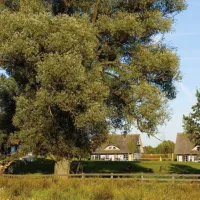 szelagowka-camping-glamping-sorkwity-2pjrd
