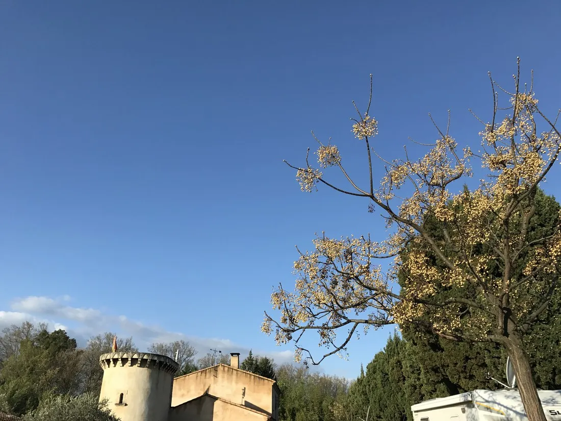 parc-de-la-bastide-st-remy-de-provence-bouches-du-rhone-jbqsl