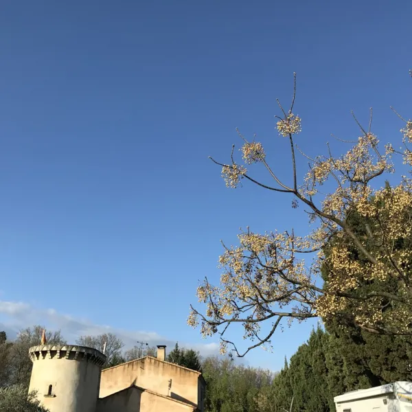 parc-de-la-bastide-st-remy-de-provence-bouches-du-rhone-jbqsl
