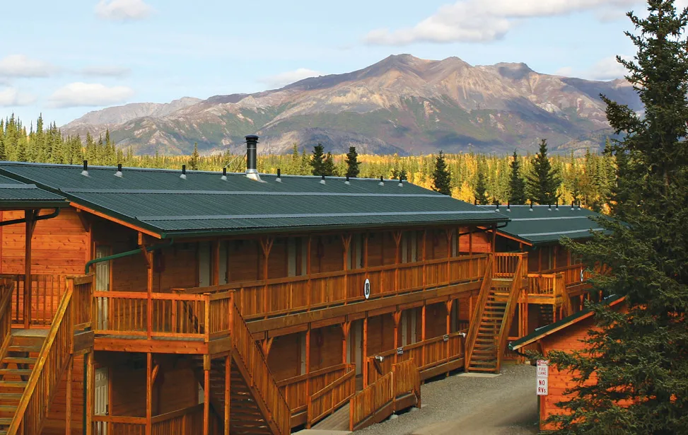 denali-grizzly-bear-resort-denali-national-park-toacu