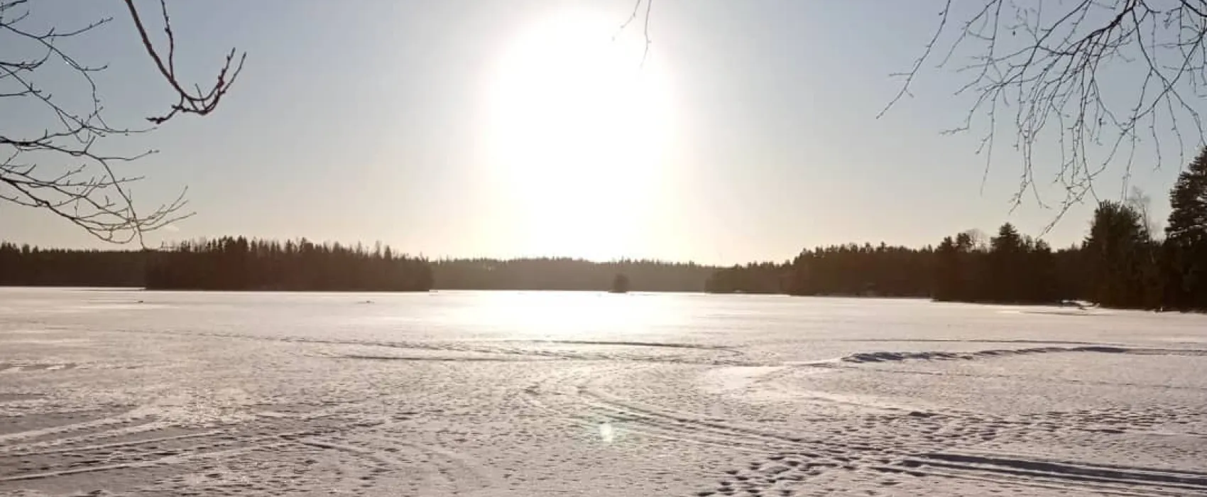 Vidnäsin kartano 