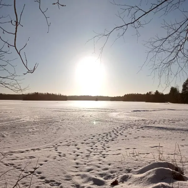 vidnasin-kartano-heinola-ji11k