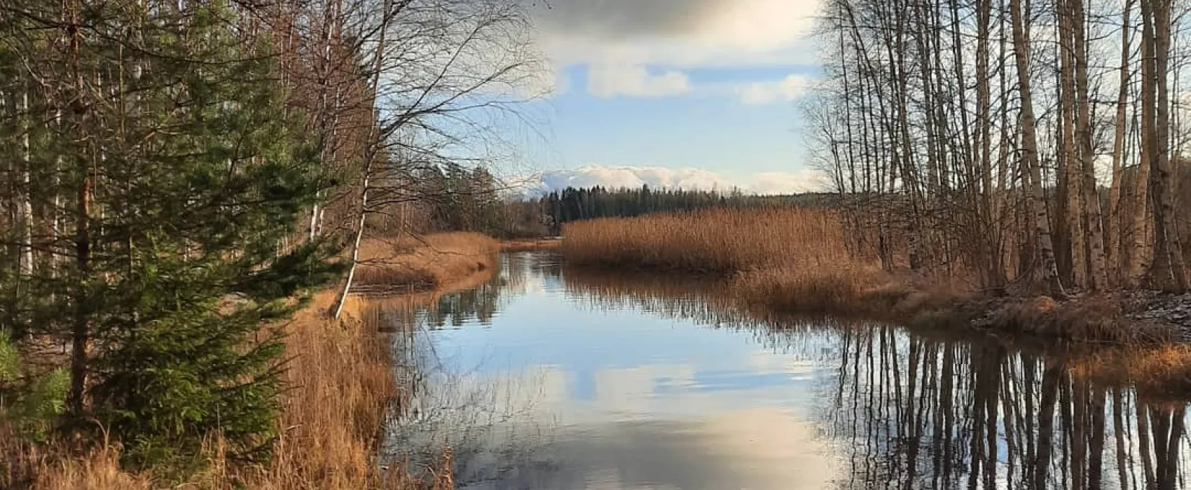 Vidnäsin kartano 