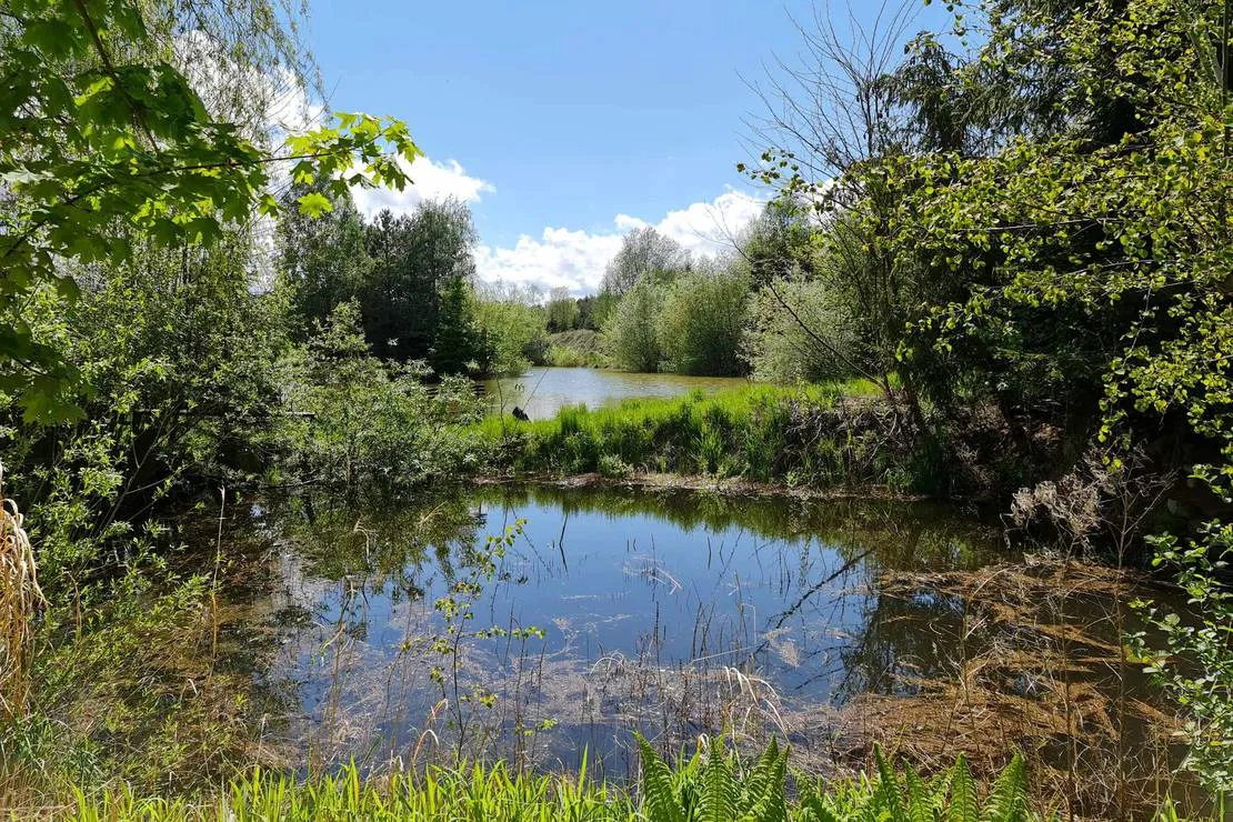 camping-barbara-lagow-0wmwi