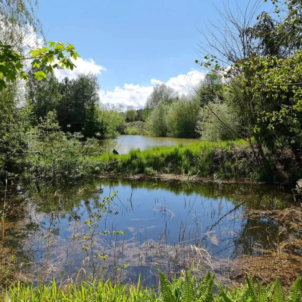 camping-barbara-lagow-0wmwi