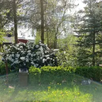 camping-barbara-lagow-nebl9