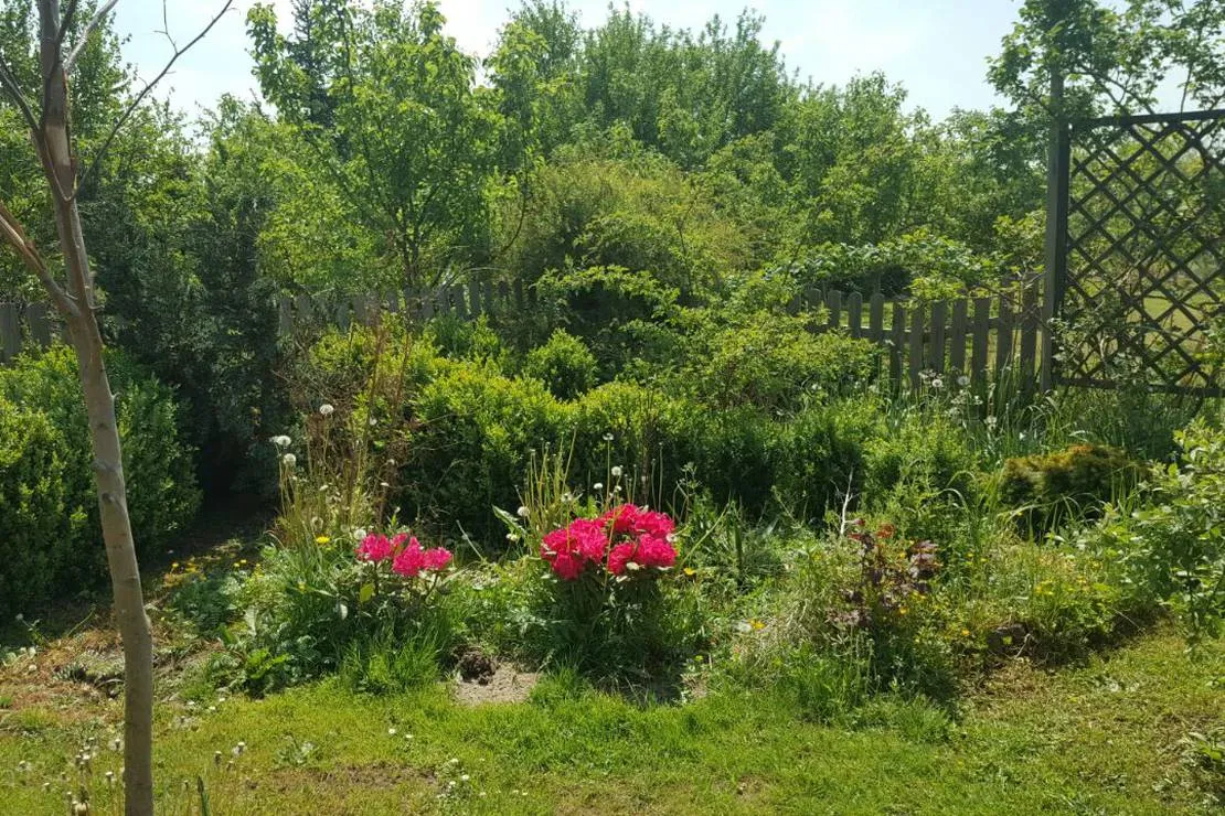 camping-barbara-lagow-ow1oa