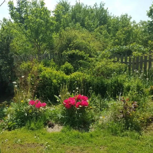 camping-barbara-lagow-ow1oa