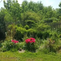 camping-barbara-lagow-ow1oa